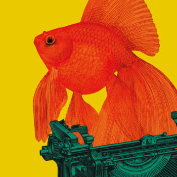 Groovy_red-fish-letter-close-up