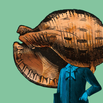 Groovy_tete-dans-le-coquillage-close-up